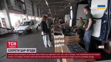 Как не лох**сь с голубикой! Почему не за всю ягоду стоит столько платить?