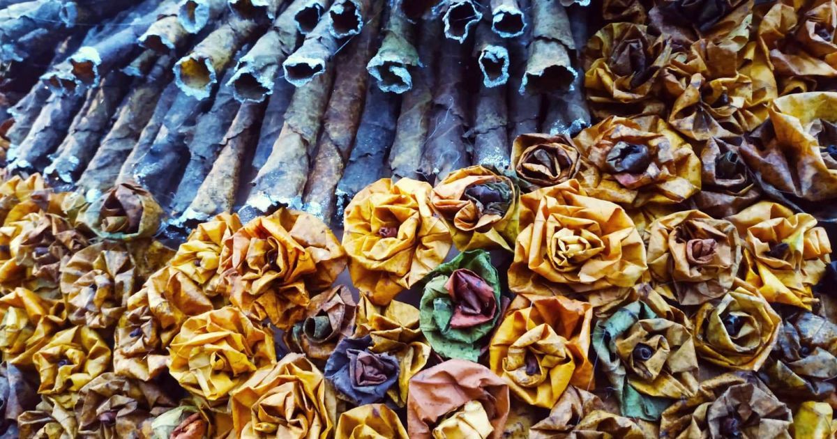 В Одесской области сделали новогоднюю елку из более 24 тысяч кленовых листьев