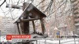 Синоптики попереджають про значне похолодання в Україні