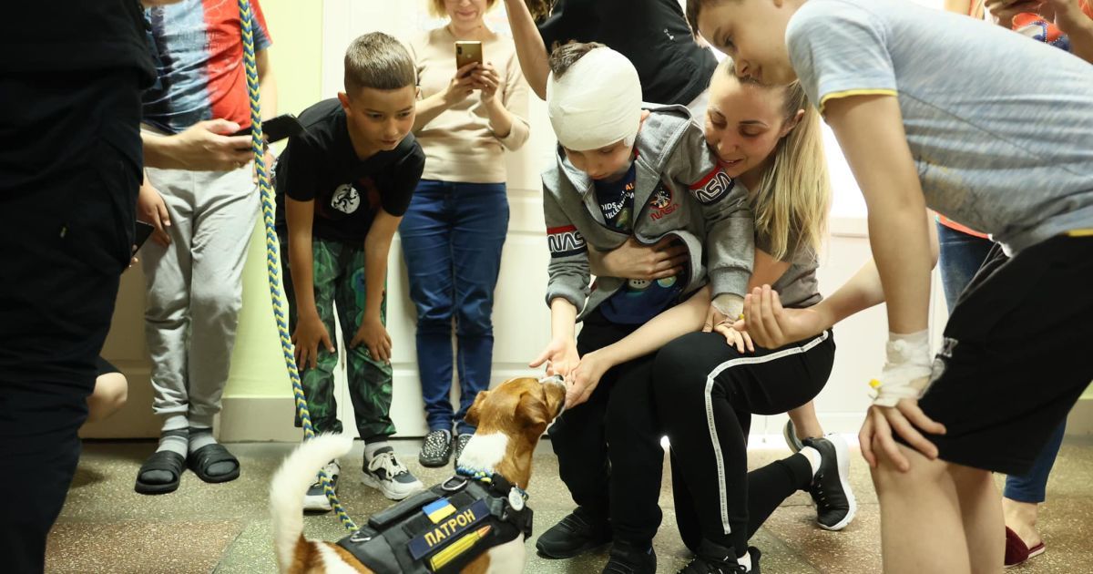 Патрон у лікарні Львова_2 / © Перше медичне об'єднання Львова