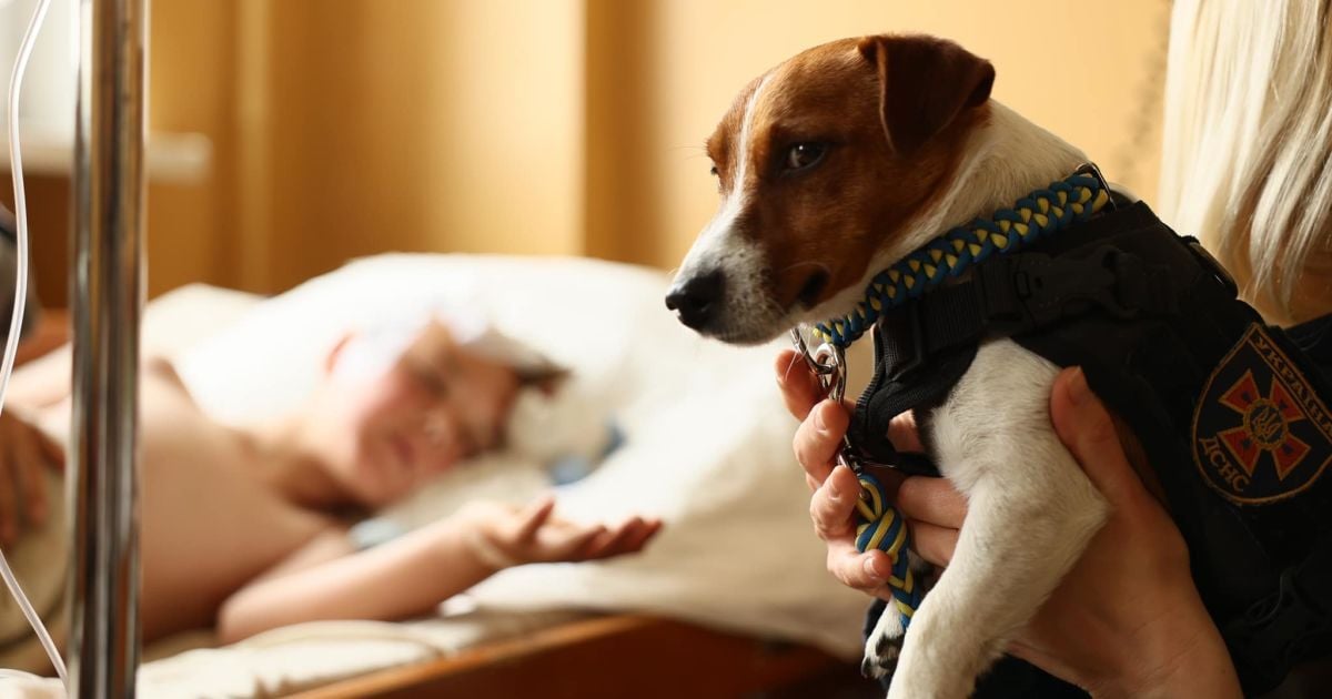 Патрон у лікарні Львова_3 / © Перше медичне об'єднання Львова