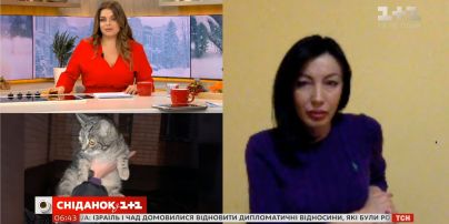 У Львові двоє підлітків викинули кота з вікна багатоповерхівки