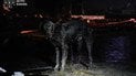 Масована атака РФ на Україну 1 вересня