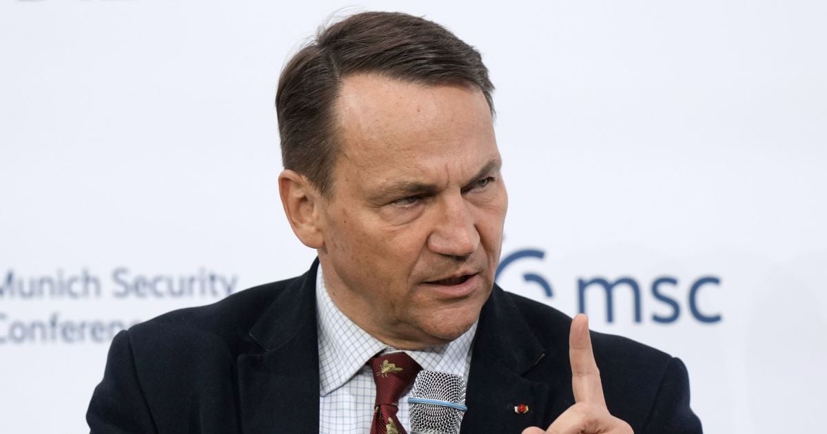 Чи може Польща направити до України миротворців після президентських виборів — Сікорський відповів