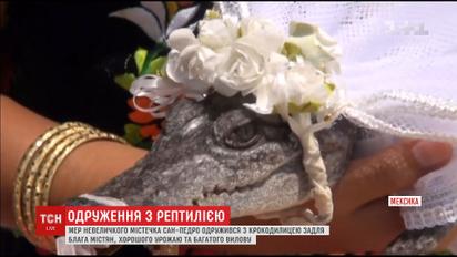 Мэр мексиканского городка Сан Педро взял в жены рептилию