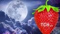 Клубничное полнолуние