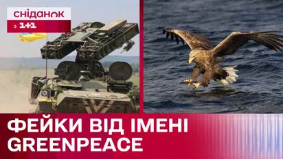 Украинское ПВО сбивает орлов? Как российская пропаганда развивает новый фейк Кремля?