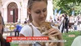 Волонтеры устроили благотворительное мероприятие в Виннице, чтобы найти семьи для четвероногих