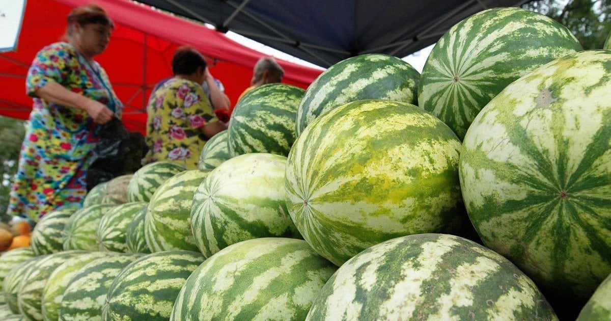 Низкий спрос на арбузы