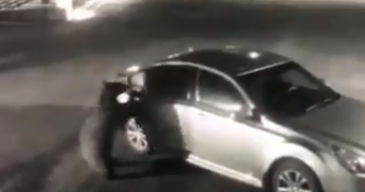 Мережу вразило відео, як ведмідь відчинив двері та заліз у припарковану машину в пошуках їжі