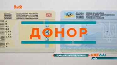 Обновленные права и техпаспорт: к документам добавят данные о группе крови