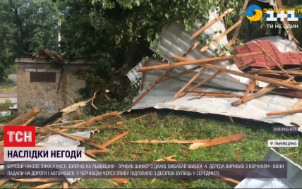 Дерева з корінням падали на авто, а шифер зносило, наче аркуші паперу: захід України накрила негода