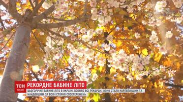 Бабье лето в Украине самое теплое и самое долгое за всю историю наблюдений