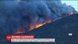 У Каліфорнії не вщухають потужні лісові пожежі