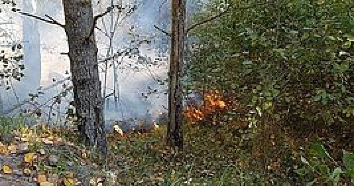 У селі на Полтавщині під час горіння сухої трави загинув 82-річний чоловік