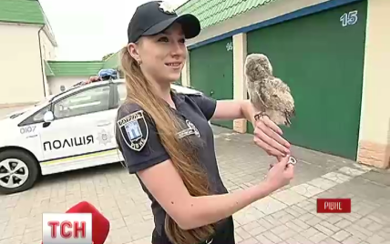 В Ровном в полицию взяли сову Патрульку