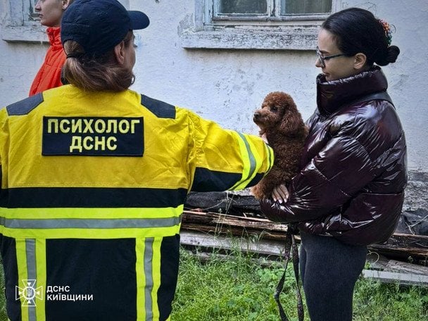 Наслідки нічного удару по Київщині 14 травня / © ДСНС України