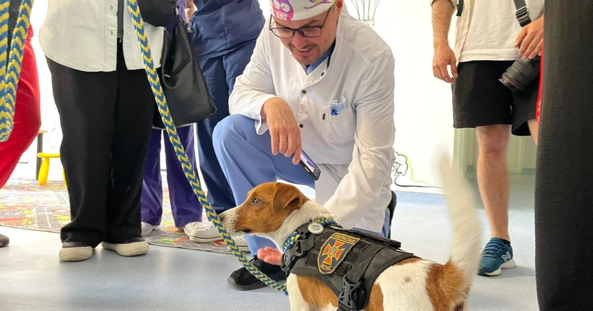 Патрон у лікарні Львова_4 / © Перше медичне об'єднання Львова