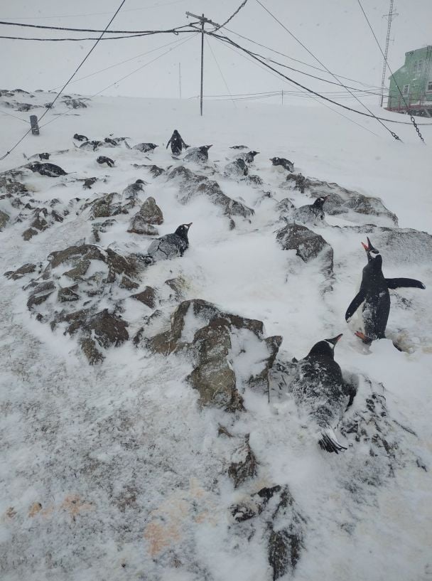 Станцію "Вернадського" замело снігом, фото Олександр Надточій