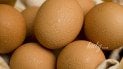 Яйця
