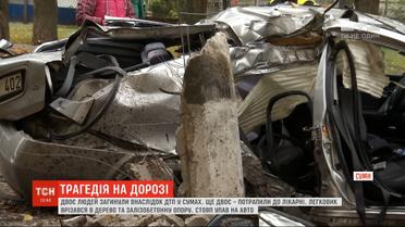 В Сумах легковушка врезалась в электроопору: два человека погибли