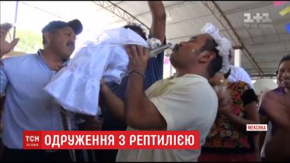 Задля блага містян мер мексиканського містечка одружився на крокодилиці