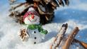 Снег и морозы будут меняться оттепелью: синоптик дал прогноз погоды на Новый год 2021