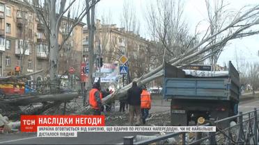 Поваленные деревья, разбитые машины и дома: Украина оправляется от урагана