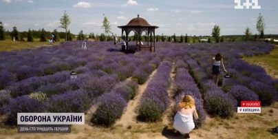 Врятуватися від спеки: у Києві в розпалі сезон лавандового квіту