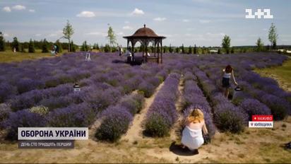 Врятуватися від спеки: у Києві в розпалі сезон лавандового квіту