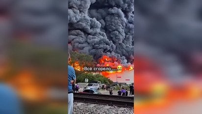 Убытки от атак на Wildberries заставили россиян заговорить о войне