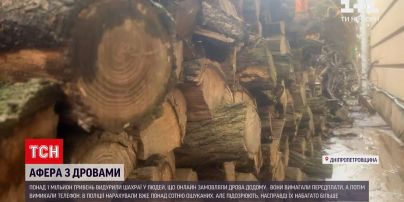 Новости Днепропетровской области: разоблачили мошенников, якобы продающих дрова