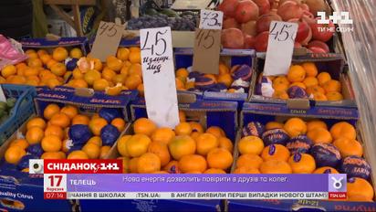 Сколько приносят платные камеры СИЗО и какие фрукты любят украинцы – Экономические новости