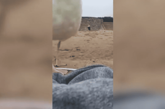 Скрин видео Reddit