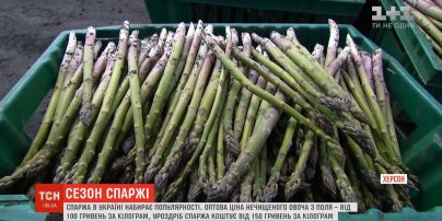 Спаржа набирает популярность в Украине: сколько стоит в разных регионах и как приготовить