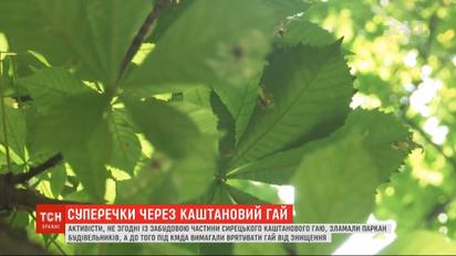 Київські активісти борються проти забудови "Сирецького каштанового гаю"