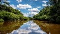 Пейзаж із водоймою