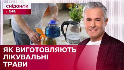 Уникальное предприятие: "Трав’ярня на Бакоті". Как выращивают и заготавливают лекарственные растения?