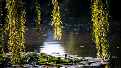 Водоем