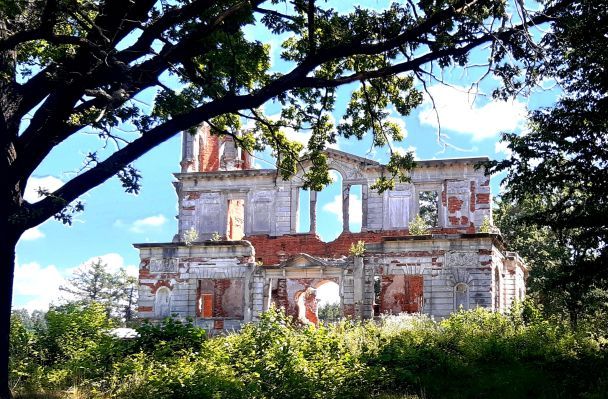 Від палацу Терещенків поблизу села Дениші зберігся в основному фасад Фото: Юлія Мельничук