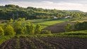 В яких областях України найродючіша земля