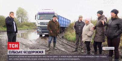 Працівники агрокомпанії звинувачують бобрів у бездоріжжі в Рівненській області