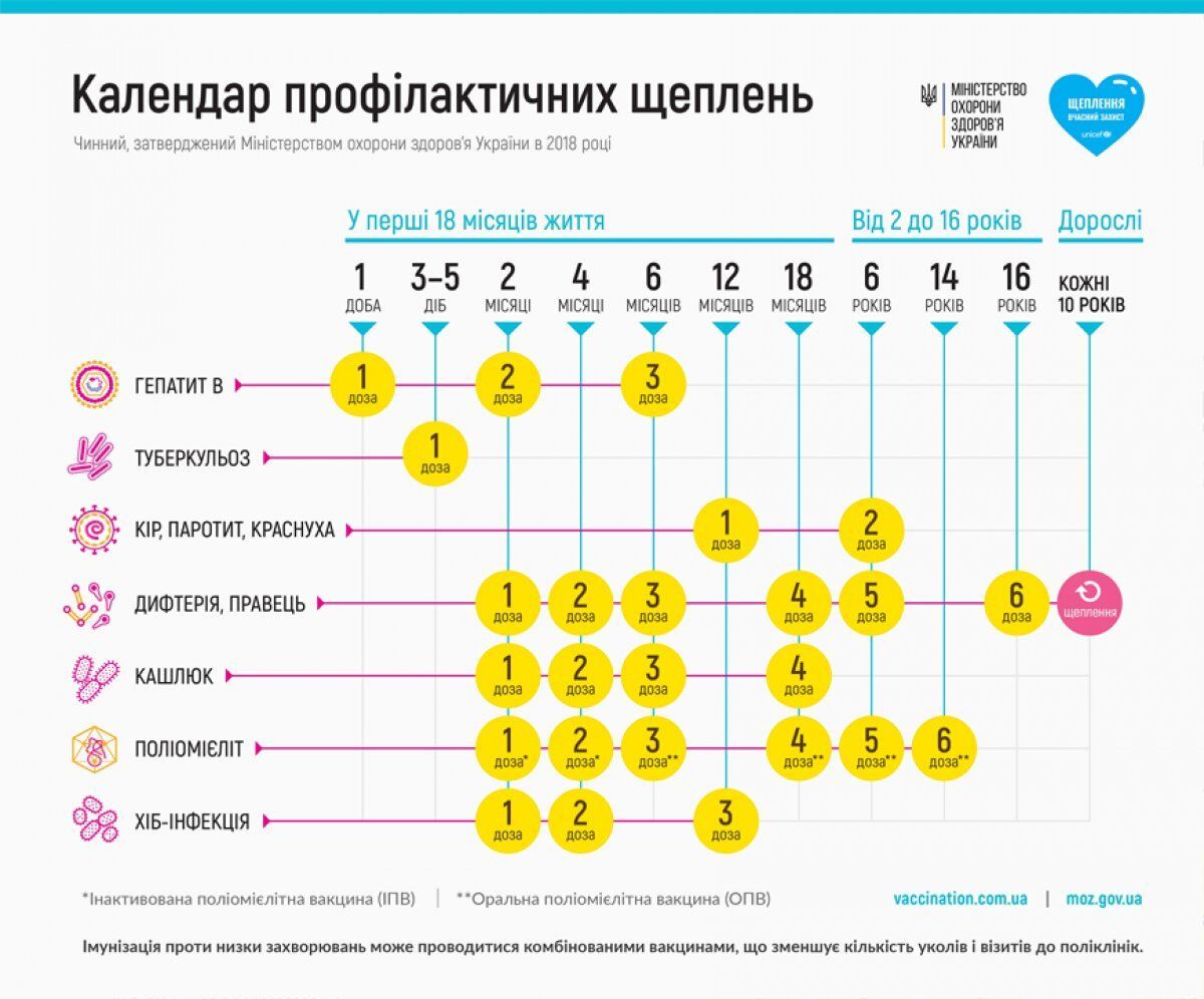 Календар щеплень 2023 року в Україні: офіційно від МОЗ — Укрaїнa — tsn.ua