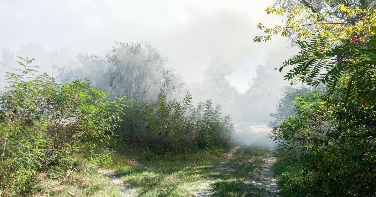 Пожежа на Русанівських садах_4 / © Информатор