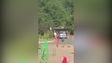 ДБР розслідує побиття військовозобов’язаного співробітниками ТЦК у Миколаєві