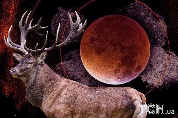 Оленье полнолуние 10 июля 2025: что стоит сделать