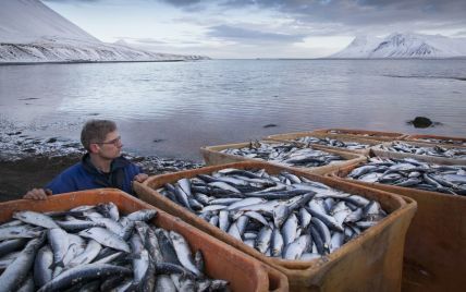 Казахстан не стал вводить "рыбные" санкции в угоду России