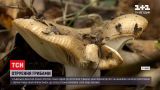 Новини України: у Львівській обласній лікарні рятують трьох людей, які отруїлися грибами