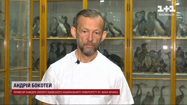 Андрій Бокотей