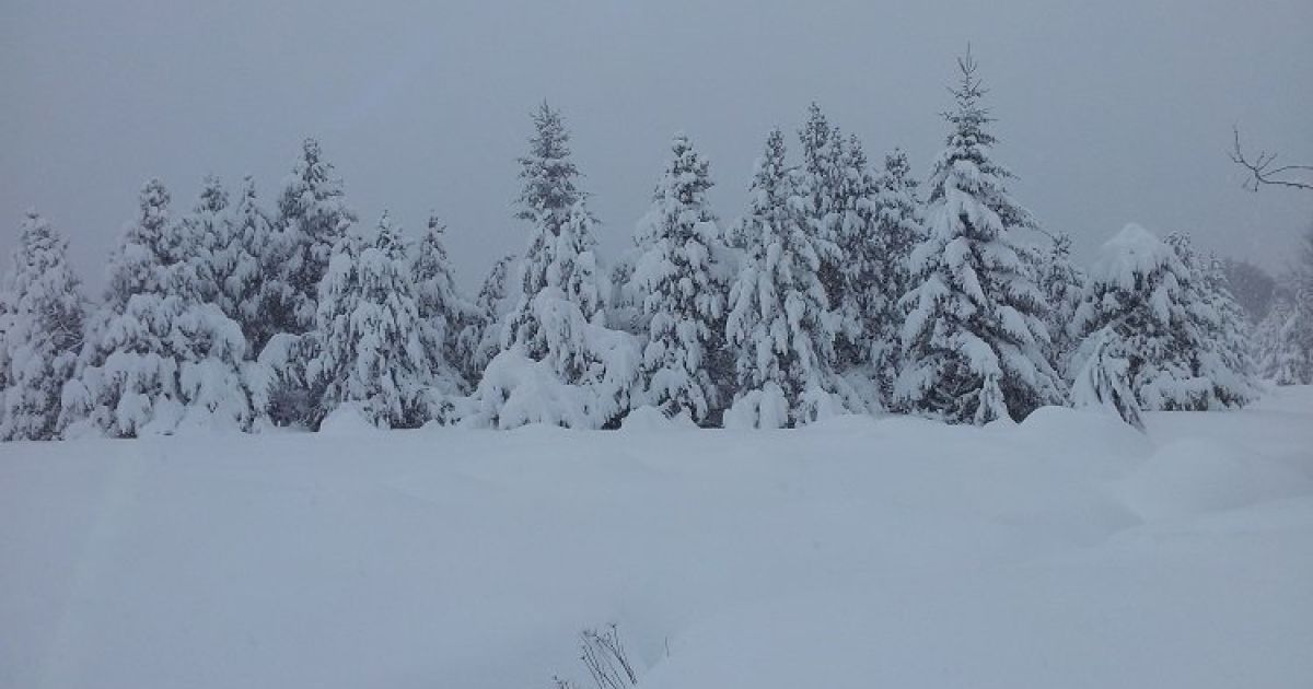 снег, франция, май / © MeteoLanguedoc